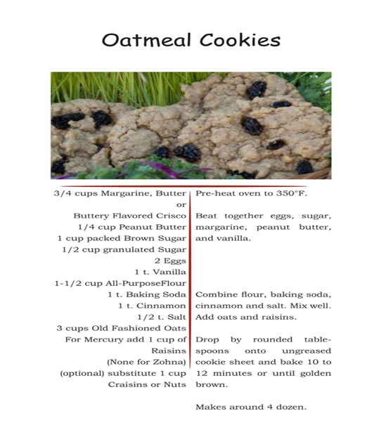 Zohna's Oatmeal Cookies